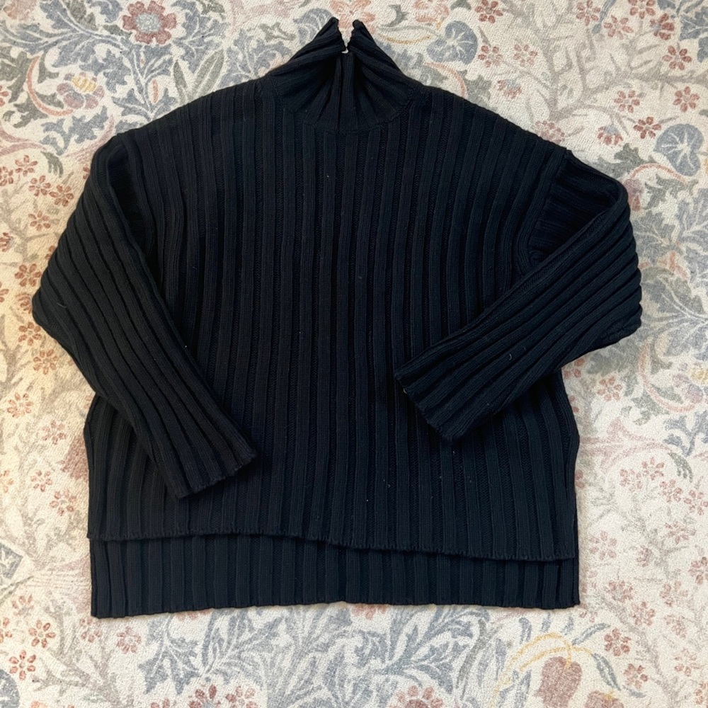 Everlane Black chunky Turtleneck Sweater